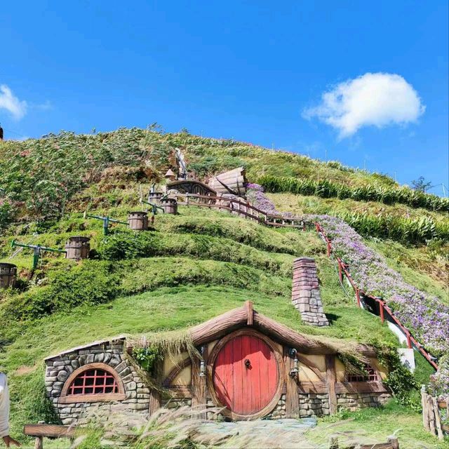 #Hobbitoon Cameron Highland