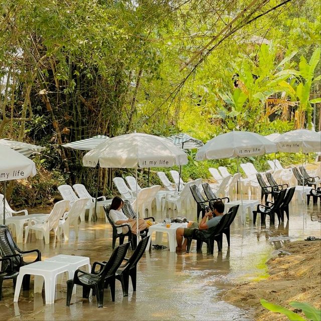 It my life cafe X camp