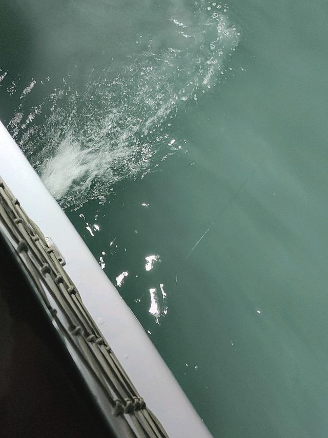 釣墨魚