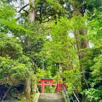 浮羽神社～靈性寶地
