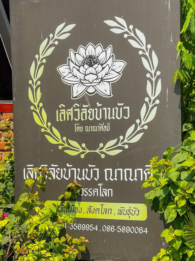 ผ้าตีนจกทอมือ ที่ เลิศวิลัยบ้านบัวณาณาศิลป์