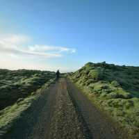 The Mossy lava of Iceland เส้นทางแห่งทุ่งมอส