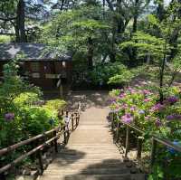 【Tokyo🇯🇵】多摩川台公園