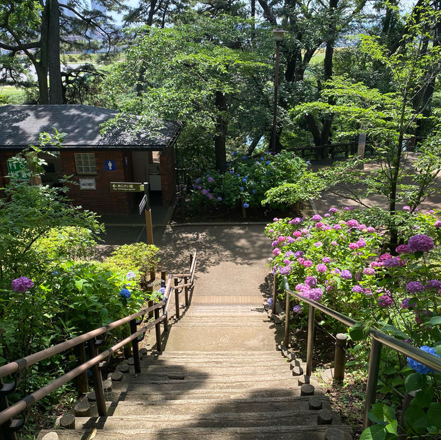 【Tokyo🇯🇵】多摩川台公園