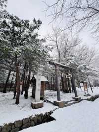 Hokkaido Jingu | Shinto shrine in Sapporo, Japan.