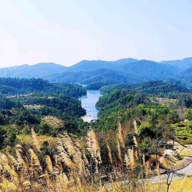 九龍湖度假區