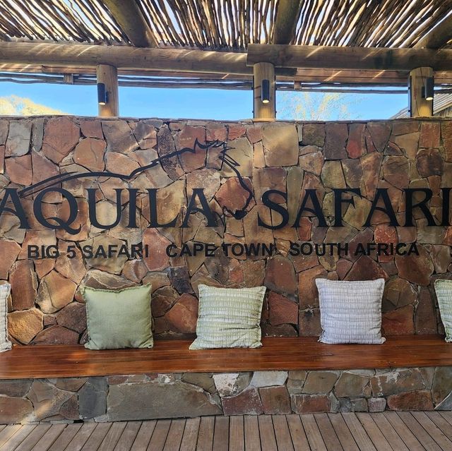Wild Adventure: Aquila Safari Soars to New Heights