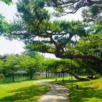 「青羅中央湖公園」湖光山色～感受大自然韻味
