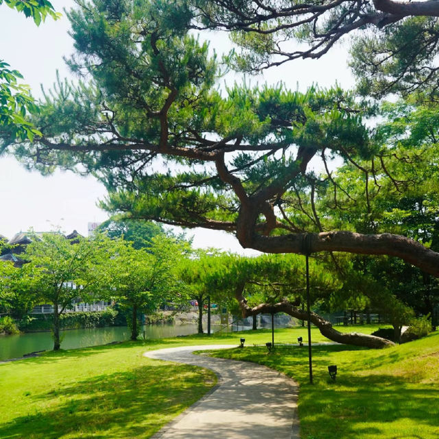 「青羅中央湖公園」湖光山色～感受大自然韻味