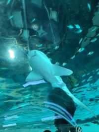 무료로 즐기는 아쿠아리움이 있는 곳🐠