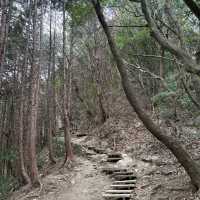 距離東京最近的自然景點！高尾山