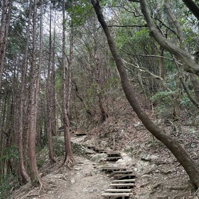 距離東京最近的自然景點！高尾山