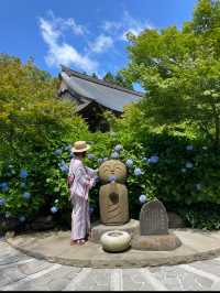 一生に一度は訪れたい💙世界の絶景💙あじさいの雲昌寺☺️💠✨