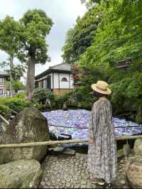 誰もが一度は見たい水中華🥰💠💐圧巻の紫陽花演出は必見！