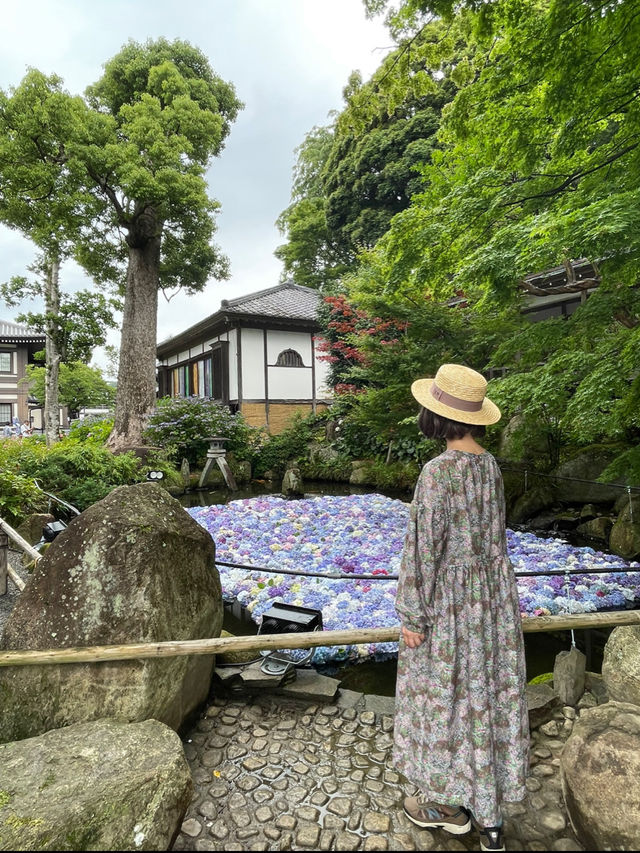 誰もが一度は見たい水中華🥰💠💐圧巻の紫陽花演出は必見！
