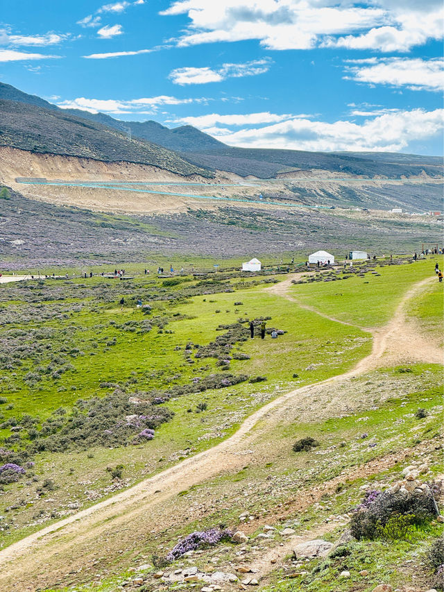 🇨🇳Heaven on Earth: Discover the Enchanting Grasslands of Kangding🍂