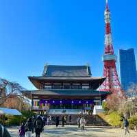〜東京都〜増上寺！東京タワーと歴史的なお寺が見られる日本景色！