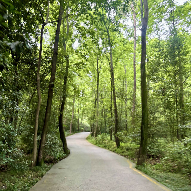 【南京】中山陵：獨特設計，寓意深遠的建築風格