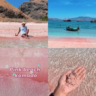pink beach komodo island