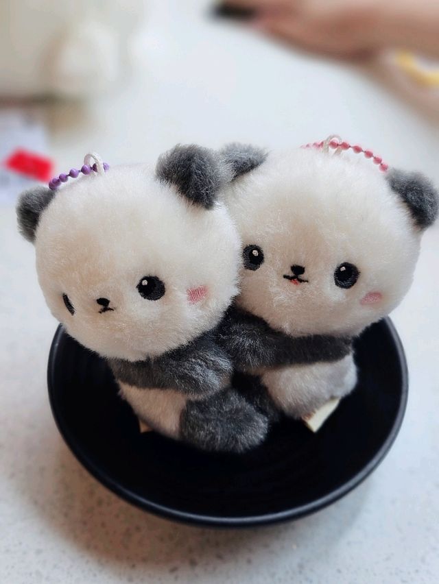 판다러버들 무조건 고! 에버랜드 판다월드🐼