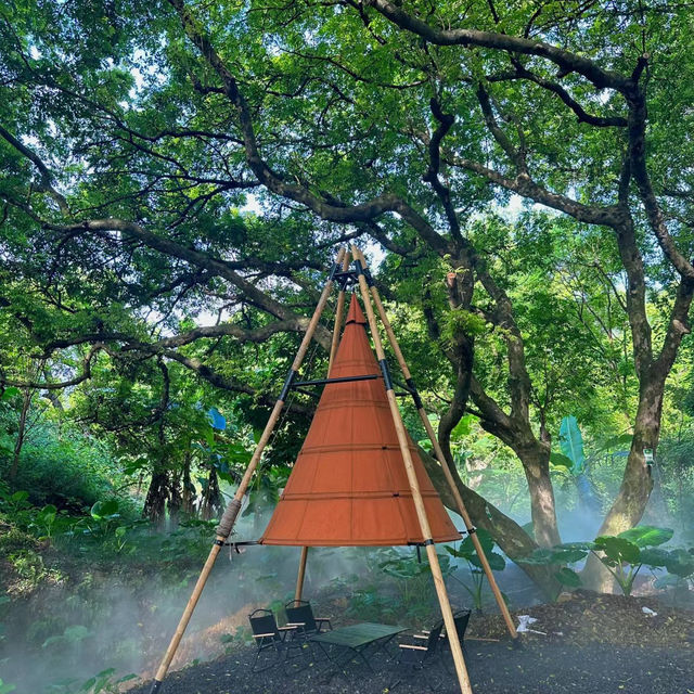 梅溪營地：迷人自然風光