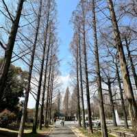 【大阪】お花を見ながらピクニック🧺が楽しめる鶴見緑地公園