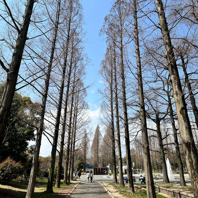 【大阪】お花を見ながらピクニック🧺が楽しめる鶴見緑地公園