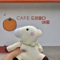 상콤발랄한 제주 초대형 감성카페 ☕️