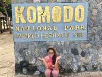 Unforgetable trip with these 3 beautiful islands in Indonesia: Rinca, Padar and Komodo