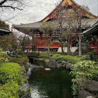 Tokyo: Where Tradition Meets Innovation