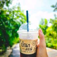  PANA CAFE - ปณาคาเฟ่