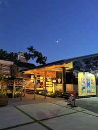 【群馬】夏限定🎐竹あかりの境内をおさんぽしよう!!