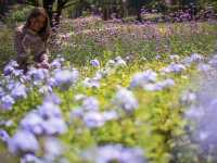 ยูเขาใหญ่ ที่พักสุดหรูสไตล์ฝรั่งเศส
