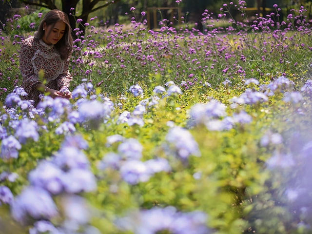 ยูเขาใหญ่ ที่พักสุดหรูสไตล์ฝรั่งเศส