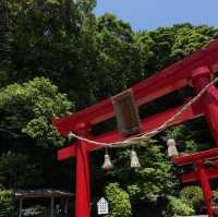【別府海地獄】熱帶花園美景，全年開放