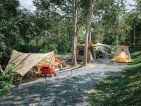 Butterfly Camping