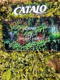 沉浸式體驗「健康秘密花園」🌿展覽1️⃣0️⃣天 把握機會預約