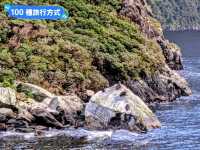 紐西蘭南島-遊覽世界第八奇景：米佛峽灣 Milford Sound