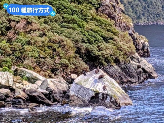 紐西蘭南島-遊覽世界第八奇景：米佛峽灣 Milford Sound