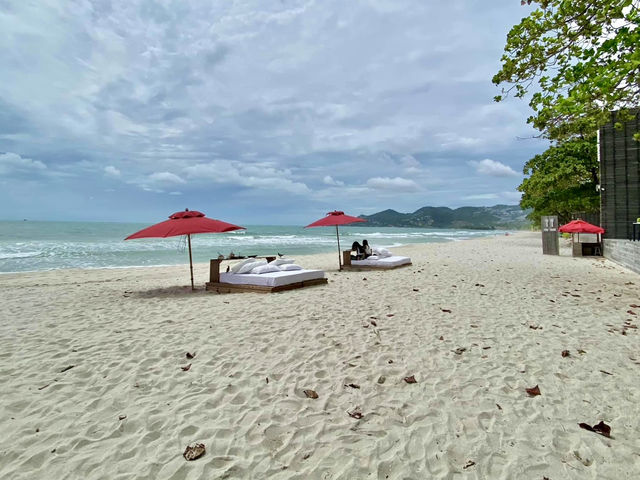 รีสอร์ตที่แย่งซีนชายหาดแถบสมุยทั้งหมด 🏝️ 