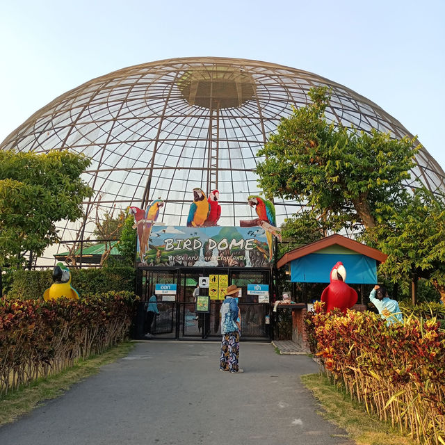 Sriayuthaya Lion Park 🦁