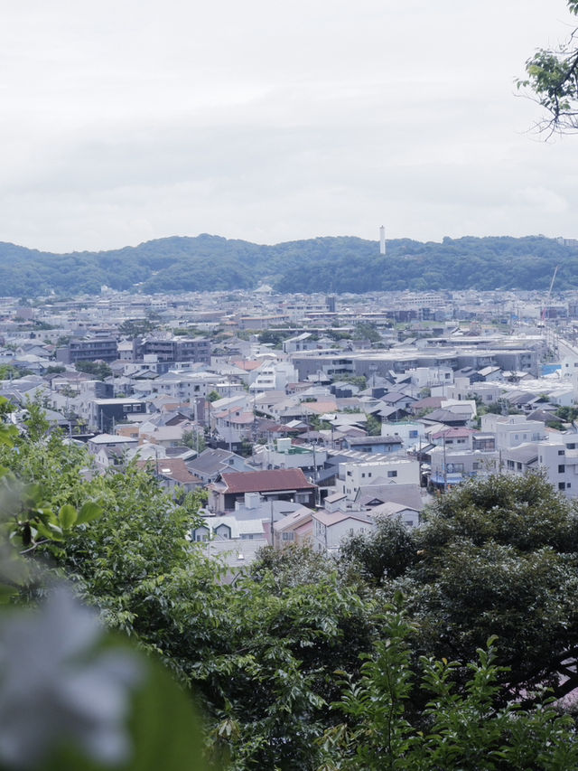 長谷寺的觀景台，一覽由比濱海岸
