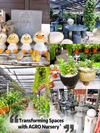 Transforming Spaces with AGRO Nursery’s Landscaping Service