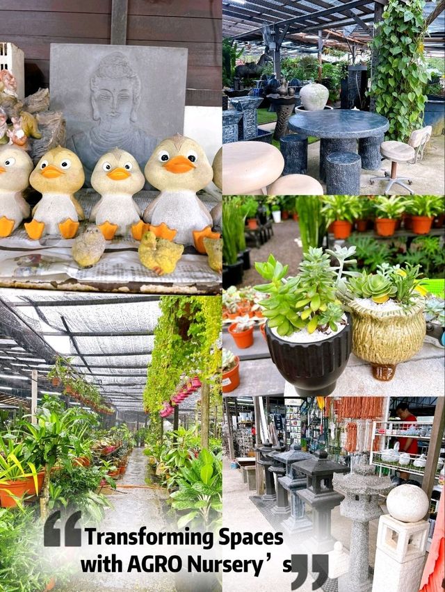 Transforming Spaces with AGRO Nursery’s Landscaping Service
