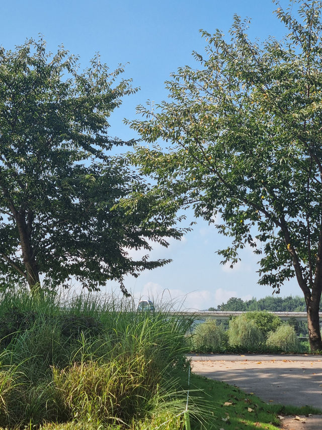 세계적인 정원 건축가의 작품