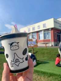 【北海道函館市】おすすめスポット5選‼️