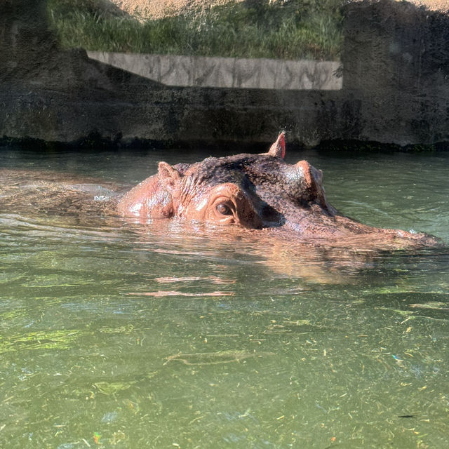 台北市立動物園