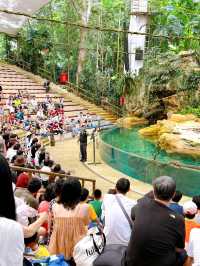 Watching the Wildlife Performances at Singapore Zoo