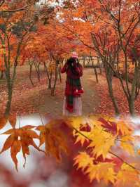 Essential Travel Checklist for an Autumn Adventure to Nami Island