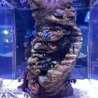 SEA LIFE Bangkok Ocean World